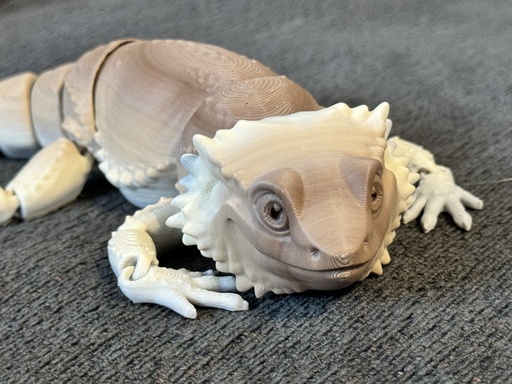 [ANML0001 - Bearded Dragon] Bearded Dragon